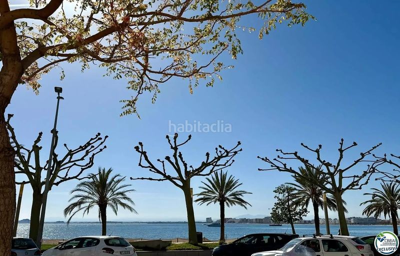 Foto ac6a242d-48b8-4e1a-b409-2ae538c42b3e. Pis a Centre Roses