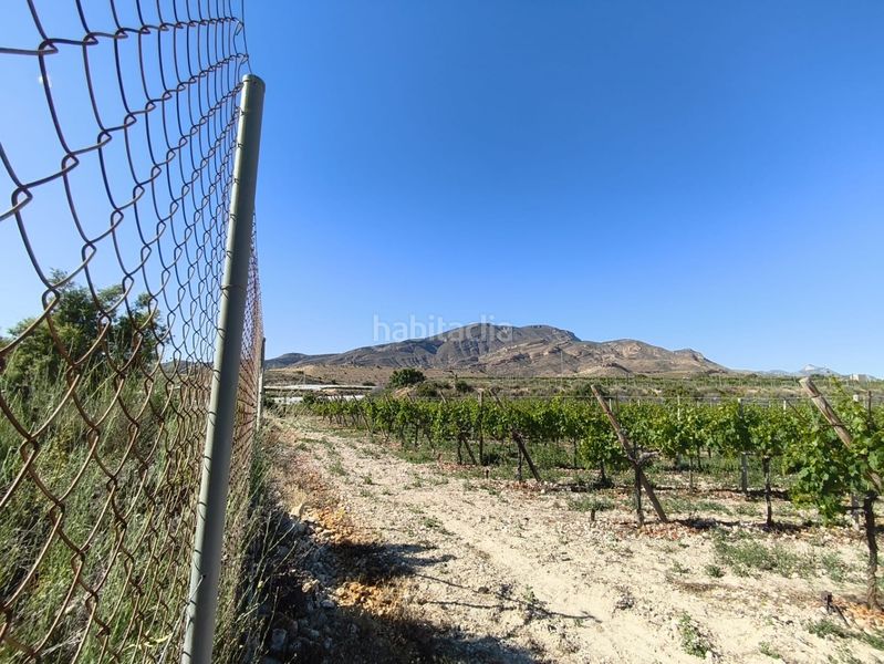 Foto 0df9819a-511e-4386-bf88-e48861e3747a. Finca rústica a Monforte del Cid