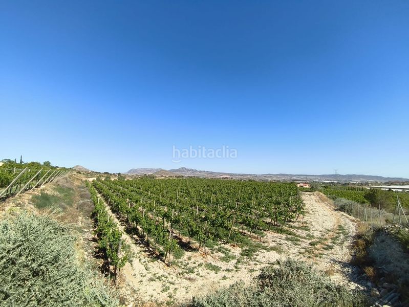 Foto 561250c5-97a2-48a5-a001-8a8c0d69f979. Finca rústica a Monforte del Cid