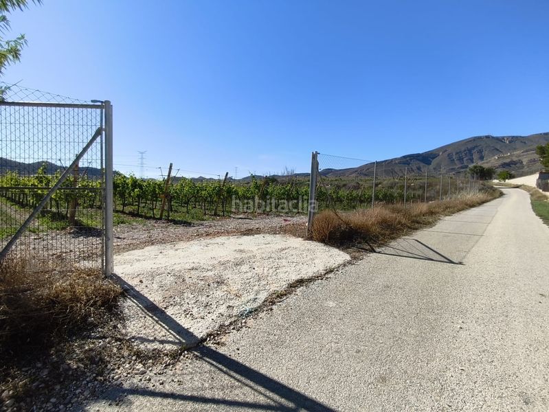 Foto 5ee9d6be-2a0d-464d-a525-70a39c8299de. Finca rústica a Monforte del Cid