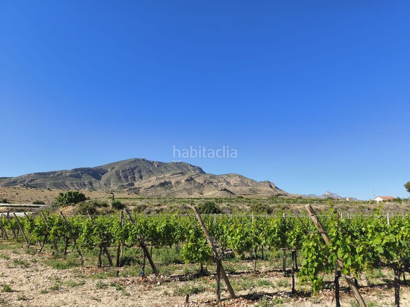 Foto aa2f3cfd-b175-494c-8b68-d22464066265. Finca rústica a Monforte del Cid