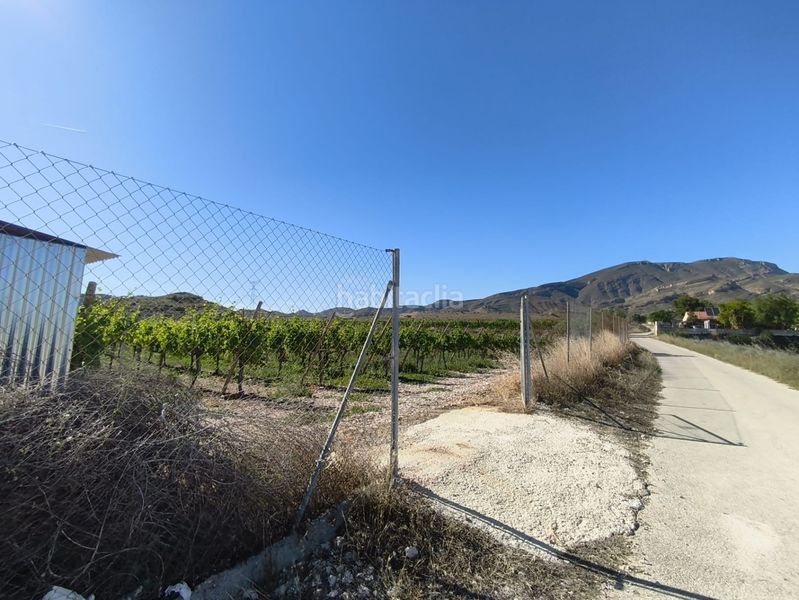 Foto abcf71a4-680e-480c-8356-1e1f0d975f7b. Finca rústica a Monforte del Cid