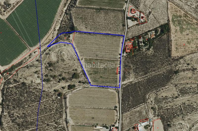 Foto c8a52e42-07e3-4acf-9fe2-3fee6c772bb2. Finca rústica a Monforte del Cid