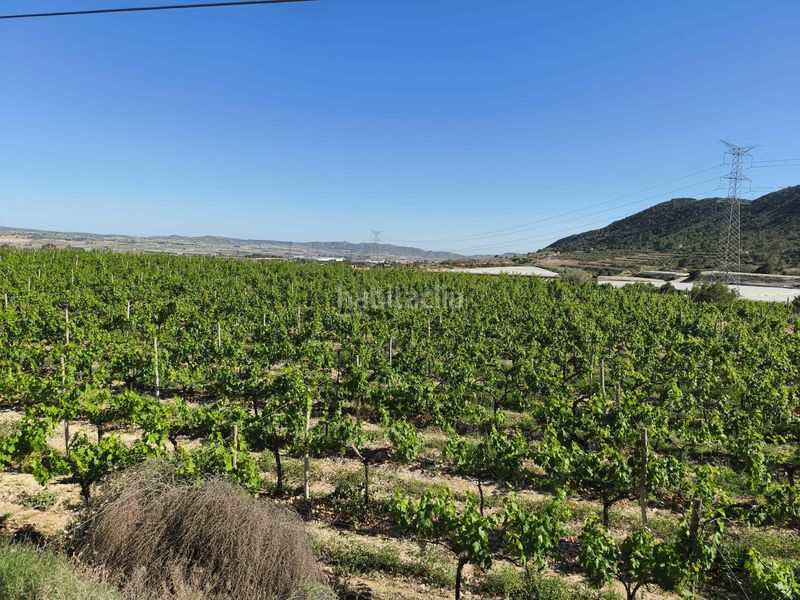 Foto e2b46d4f-ae1e-4400-9312-853b37cf8abf. Finca rústica a Monforte del Cid