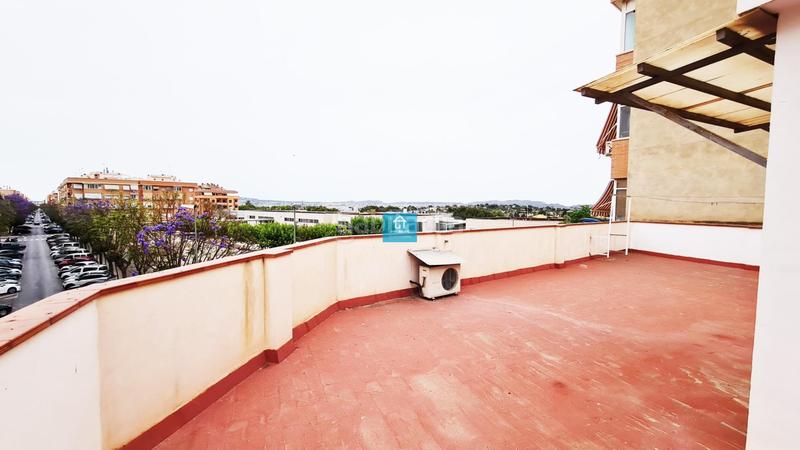 Foto f765a3cb-66df-41d2-8f2d-535f460b1b53. Mas dans Novelda