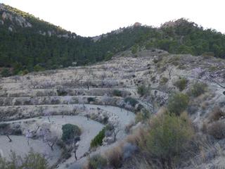 Terreny residencial  Pda almusent. Terreno rustico de 16.800 m2