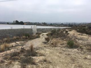 Terrain résidentiel à El Secanet-Hacienda del Sol. Terreno de 12.000 m2 ideal para construirse un una casa de campo