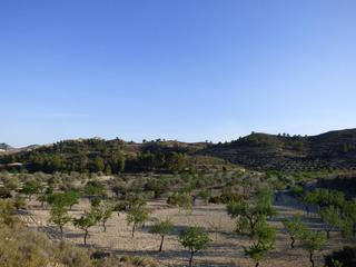 Terreny residencial  Partida foia torrero. Terreno de 20.000 m2 cercano a carretera de relleu a aigües. ide