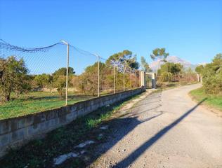 Terreny residencial a Juzgados - Plaza de Toros. 12.000 m2 en la huerta de benidorm.
