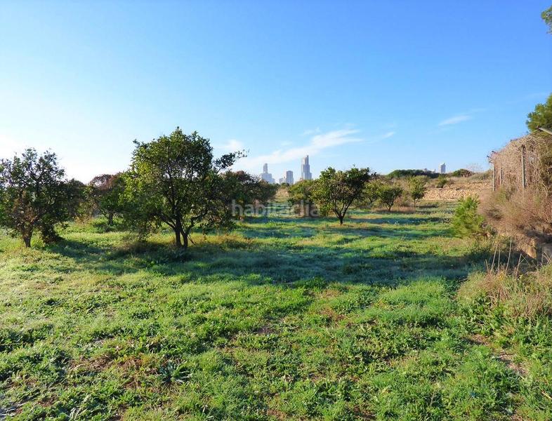 Foto fadeb45a-9eab-442b-9d7c-b98ca274d3dd. Wohngrundstück in Juzgados - Plaza de Toros Benidorm
