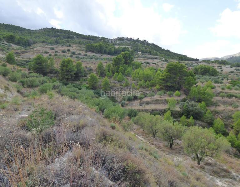 Foto 3914d33c-8371-4fa8-90ff-84ea9fc8b576. Terrain résidentiel dans Beniardà