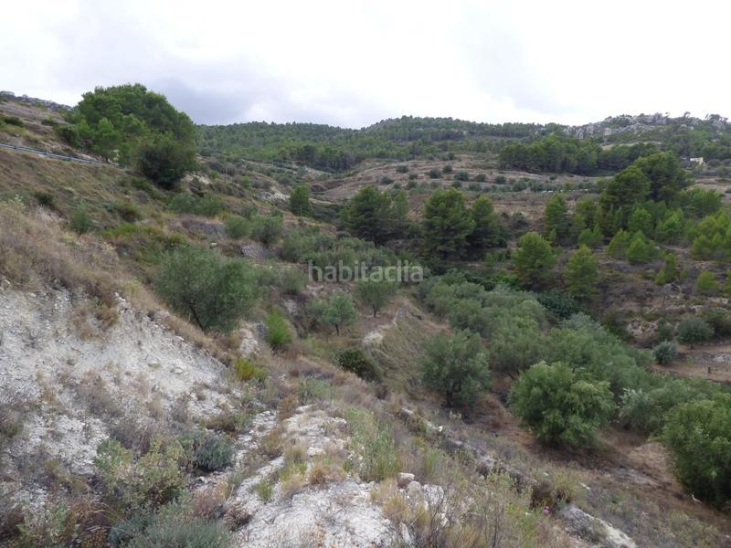 Foto eb7e0f92-ba70-4ccf-ac34-3f5639ec787d. Terrain résidentiel dans Beniardà