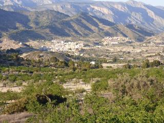 Terreny residencial  Partida foia del riu. Este terreno se encuentra en partida senia d´alt, 03578, relleu,