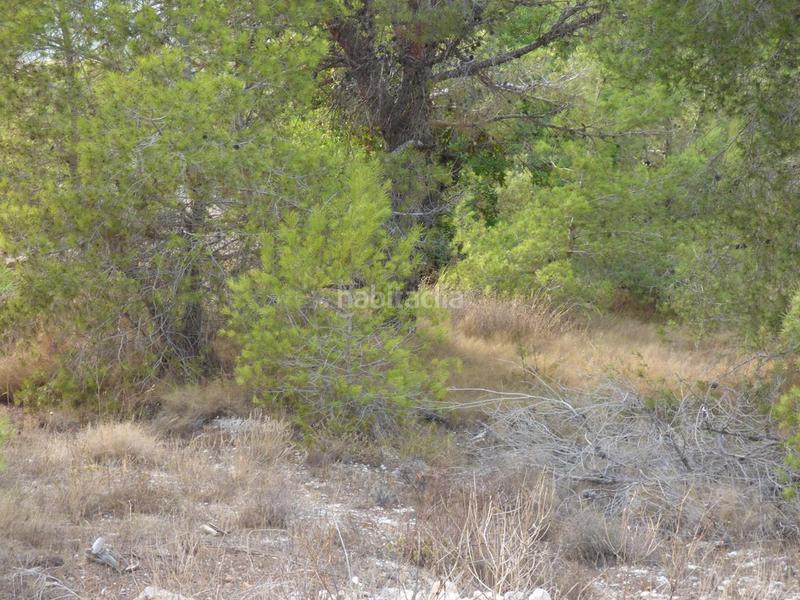 Foto 2f723ac1-5de0-4d4f-9e30-503e205bc17e. Wohngrundstück in Juzgados - Plaza de Toros Benidorm