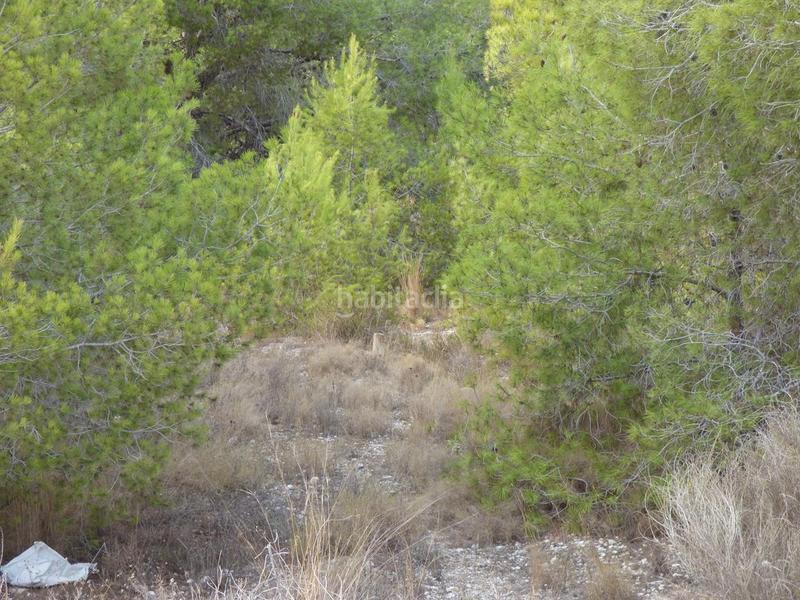 Foto 5dfe04c0-7bca-425a-9b5a-67d9b0eea3c0. Wohngrundstück in Juzgados - Plaza de Toros Benidorm