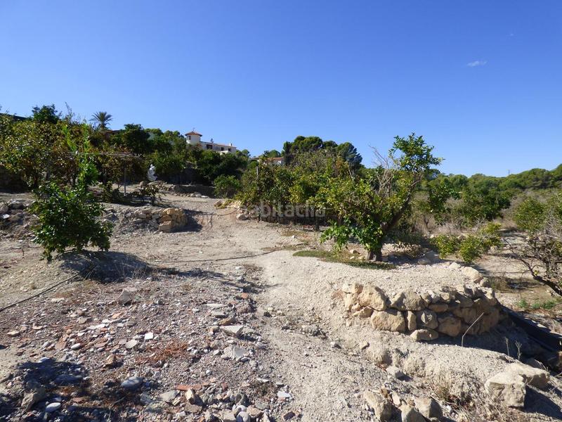 Foto 0d4675a6-a43e-464e-8085-1e3fdd108a82. Rural plot in Pueblo-Ubanizaciones Alfàs del Pi (l´)