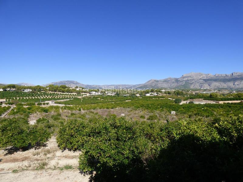 Foto 1a93b0b8-8de1-4764-85c6-c9e36c892210. Rural plot in Pueblo-Ubanizaciones Alfàs del Pi (l´)