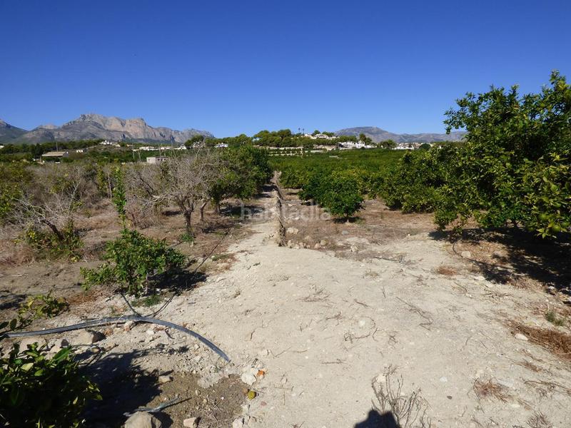 Foto 4be046f0-7884-46cf-955c-ff1c96f347e8. Rural plot in Pueblo-Ubanizaciones Alfàs del Pi (l´)