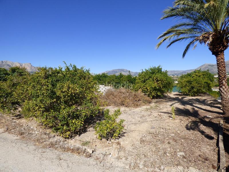 Foto 628d9bda-ec07-40a5-879d-37980a0a1ef8. Rural plot in Pueblo-Ubanizaciones Alfàs del Pi (l´)