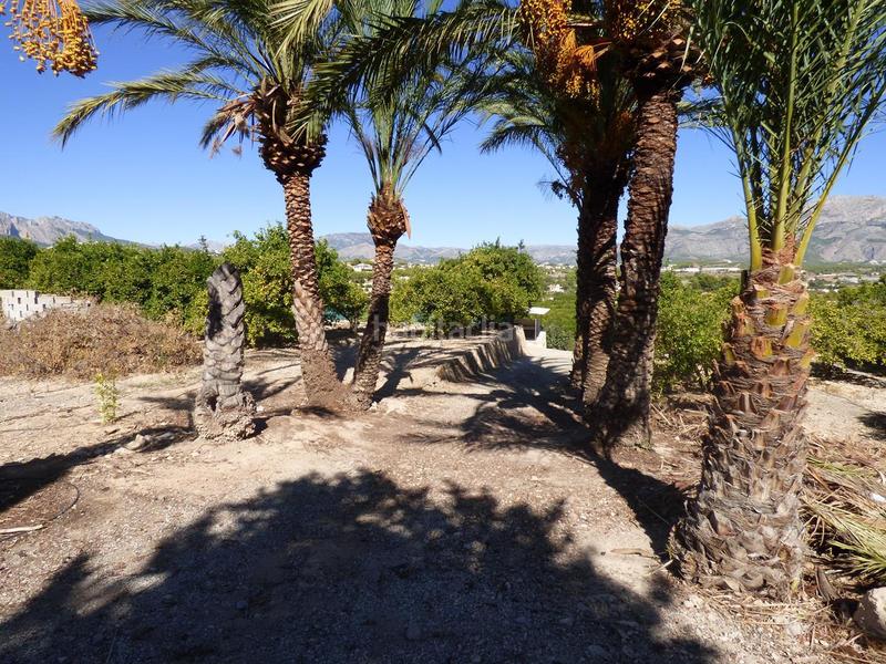 Foto 91b02d41-e5ff-4c7f-87af-f5345be4f56c. Rural plot in Pueblo-Ubanizaciones Alfàs del Pi (l´)