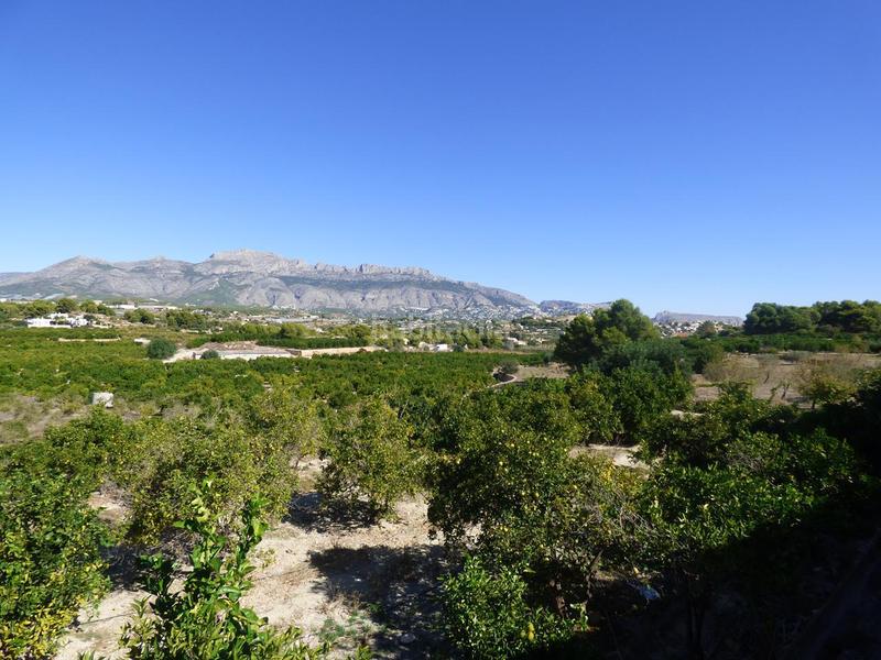 Foto ea9645a8-d046-4c1e-b87c-b0684cfd410d. Rural plot in Pueblo-Ubanizaciones Alfàs del Pi (l´)