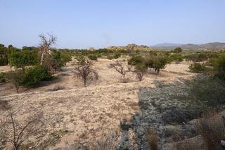Finca rústica  Pda. bañets. Oportunidad