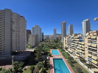 Estudi a Avenida Marina Baixa