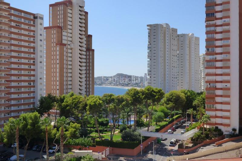 Foto 0af9f288-a7a7-43f2-97c8-597cbcbce5fa. Apartament amb piscina a Playa Poniente Benidorm