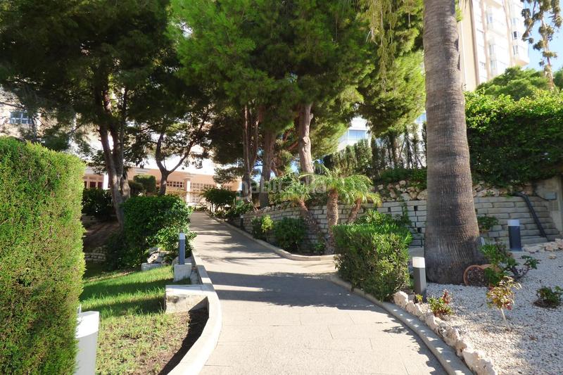 Foto 67a71eea-4ab9-497d-bb1f-e275e9633eab. Appartement avec chauffage parking piscine dans Playa Poniente Benidorm