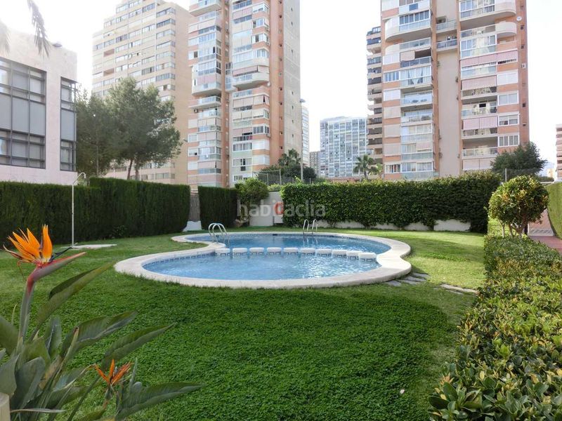 Foto 241fab5b-a856-456b-b7ea-2cc500e0bfd2. Apartament amb aparcament piscina a Juzgados - Plaza de Toros Benidorm