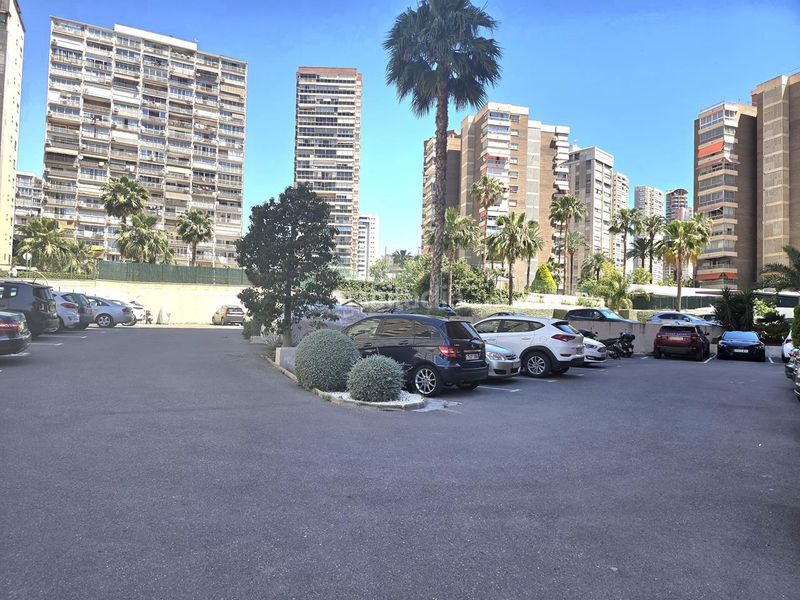 Foto 04a309f6-5cee-44fb-ae2c-da40c60fa0a4. Pis a Juzgados - Plaza de Toros Benidorm