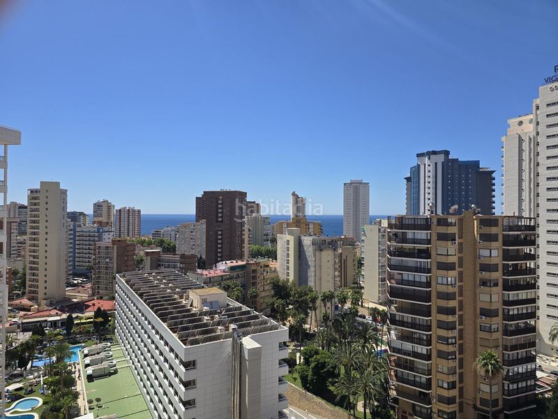 Foto 7930a725-d9c6-4e09-b811-cca5a65ba582. Pis a Juzgados - Plaza de Toros Benidorm