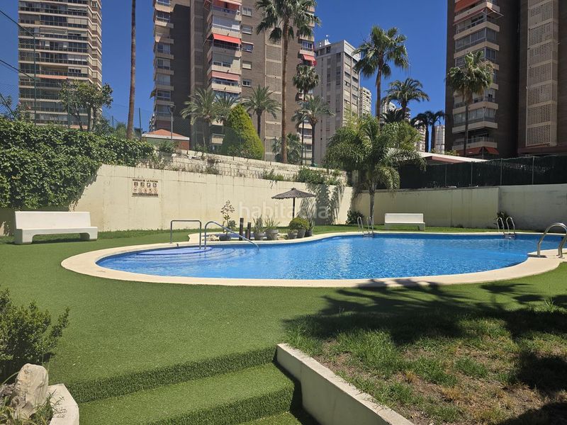 Foto e1c86a21-33ef-4731-8244-3c74235f80ff. Pis a Juzgados - Plaza de Toros Benidorm