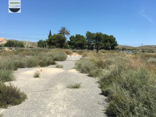 Lloguer Terreny residencial a Elche - carretera carretera nacional 340. Se alquila. terreno rústico frente aeropuerto elchealicante