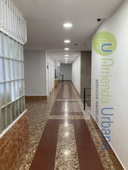 Pis a Elche - VICENTE FUENTES SANSANO