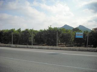 Terrain résidentiel à Pedreguer. Parcela en venta en pedreguer. se trata de un terreno que cuenta