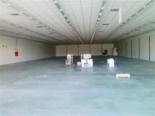 Local Comercial a Verger (el). Nave industrial en venta en el verger, de 1.300m2 distribuidos e