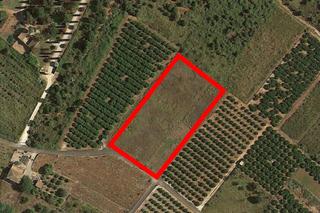 Terrain résidentiel à Pedreguer. Terreno agrícola de 6.000m2, donde se puede construir únicamente