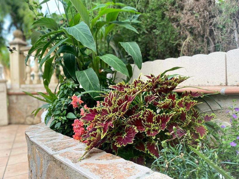 Foto 3a8ab649-557e-4a5a-b1e9-cdb83ca00bf2. Maison jumelée avec chauffage parking piscine dans El Montgó Dénia