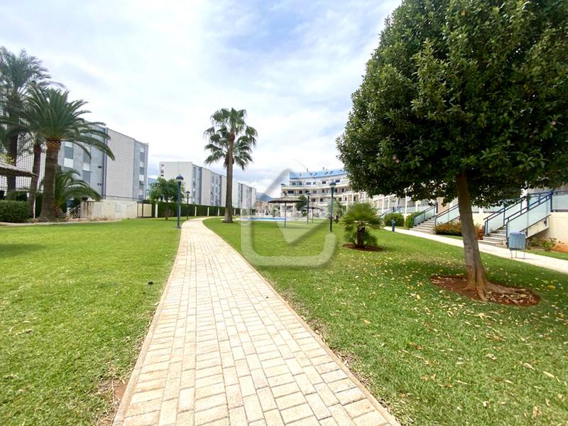 Foto d3796928-79d7-4d86-97f6-27701b6ece80. Àtic amb calefacció piscina a Les Bassetes - El Marjal Dénia