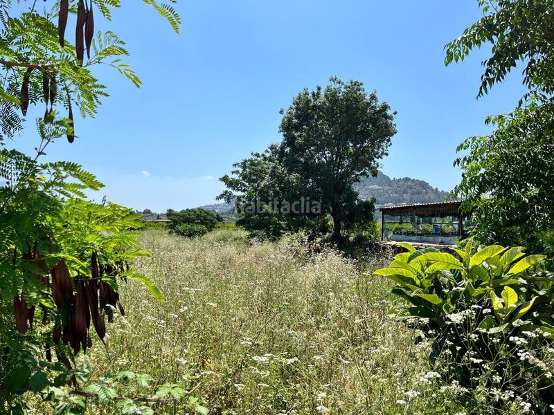 Foto ce9fa2f8-32dd-45ad-8d15-4a1f0705696f. Terreno residenziale in Ondara