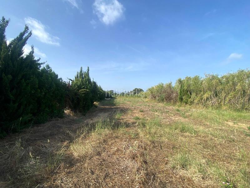 Foto 00424313-165c-454c-9721-a47e25956dd6. Terreny residencial a Poblets (els)