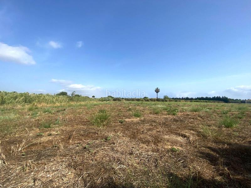 Foto 4bedd793-e028-436a-81f9-e68a8fa44c74. Terreny residencial a Poblets (els)