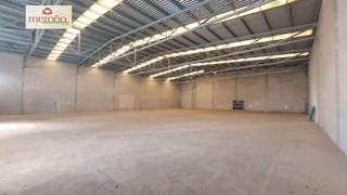 Lloguer Nau industrial a Nou Altabix. Nave altabix