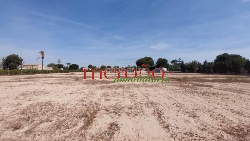 Foto 1640d26e-ef61-4091-b3b7-e1a24c203529. Residential plot in Valverde Elche / Elx