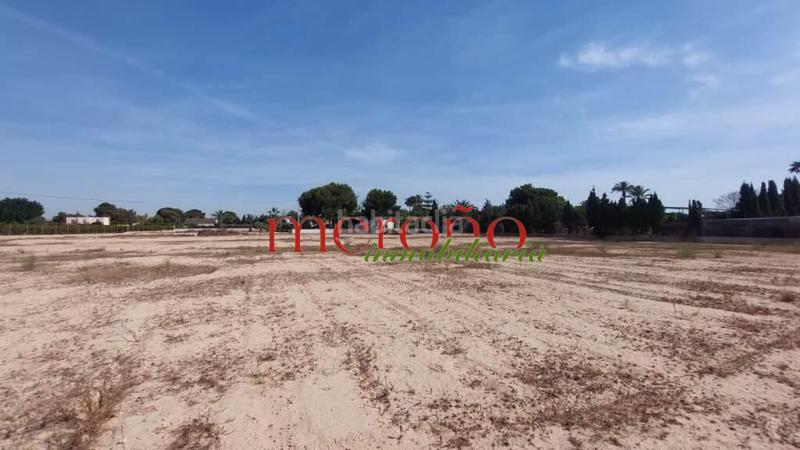 Foto d2292f18-4606-4ee9-bb7e-e98fa5f8cb5d. Residential plot in Valverde Elche / Elx