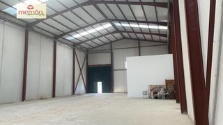 Nau industrial a Cox. Nave cox