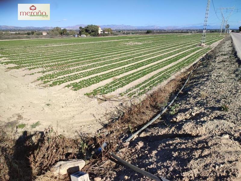 Foto 7fc21067-abb9-42c5-a449-817ae38d42c4. Residential plot in La Marina Elche / Elx