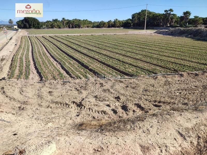 Foto cde7d6a2-35e0-4462-a097-e23124af6770. Residential plot in La Marina Elche / Elx