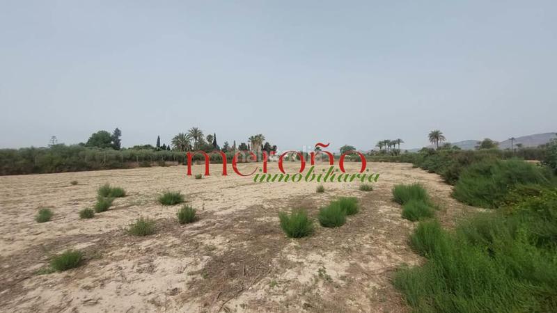 Foto 3c830feb-5f52-4c3c-be3b-d8af0738e178. Wohngrundstück in Algorós - El Derramador Elche / Elx